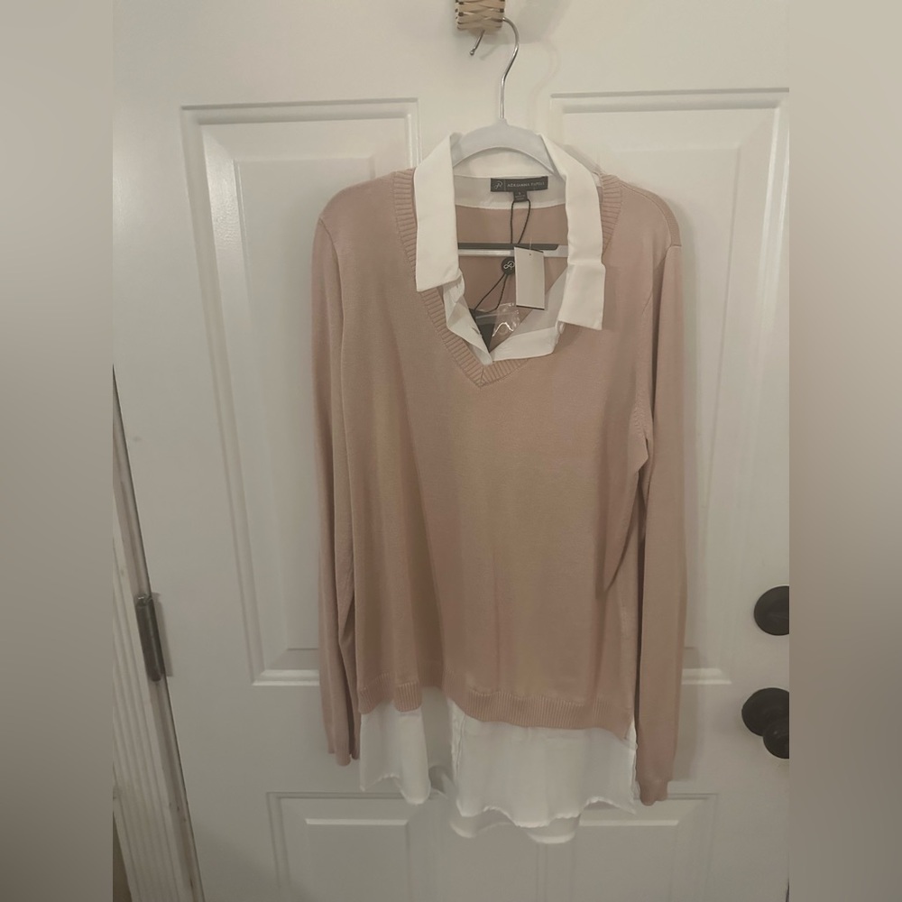 Adrianna Papell Pink and White Blouse